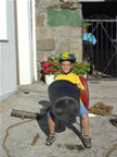 Ver�n 2007